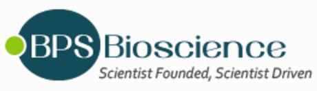 BPS Bioscience