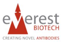 Everest Biotech